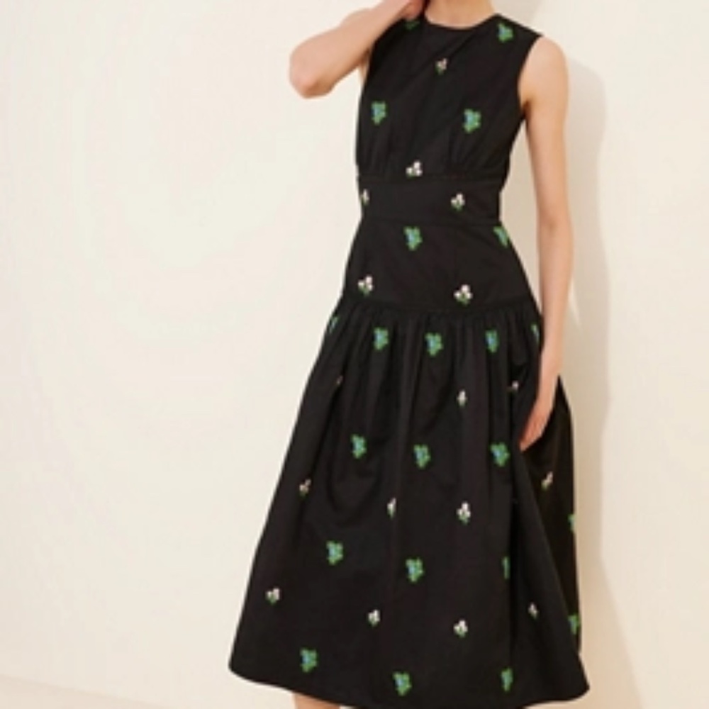 Anthropologie Pinnacle By Shruti Sancheti Ditsy Embroidered Midi Dress XS